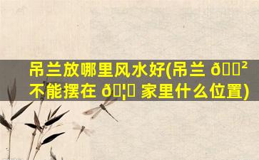 吊兰放哪里风水好(吊兰 🌲 不能摆在 🦍 家里什么位置)